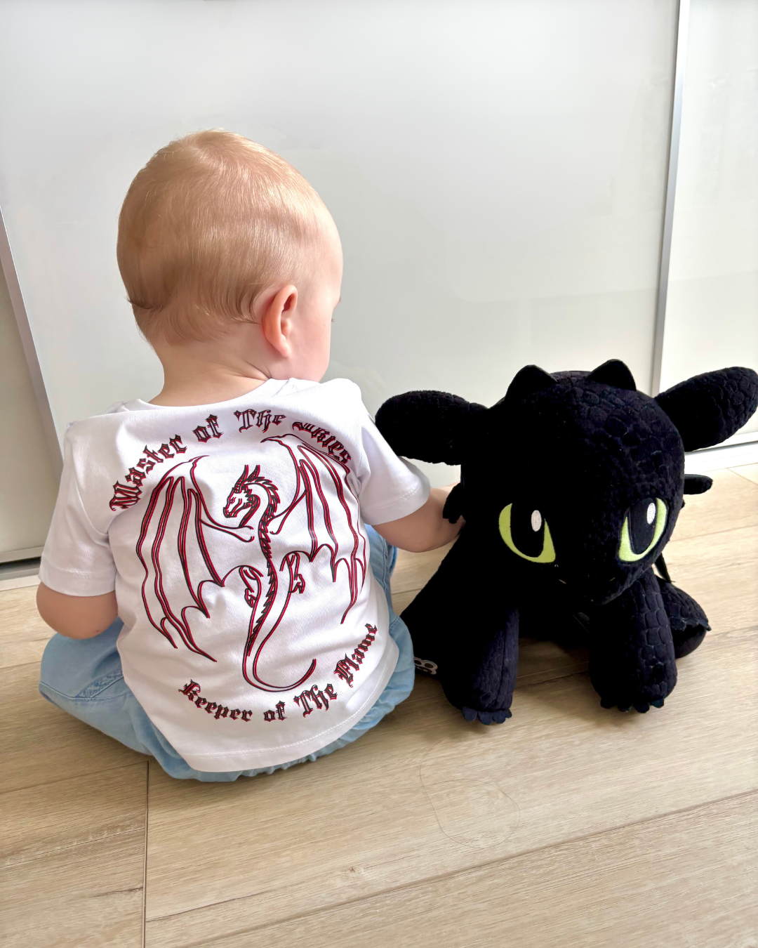 Outline Crowd master of the skies T-shirt