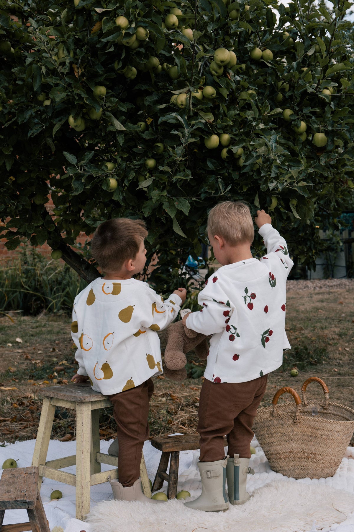 Wildgreen Pear Sweater