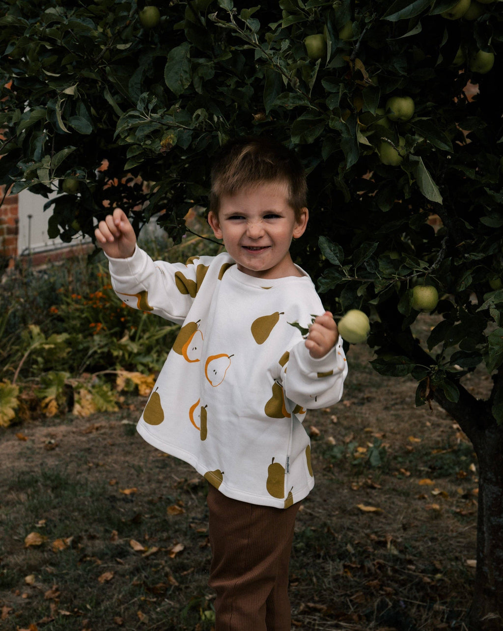 Wildgreen Pear Sweater